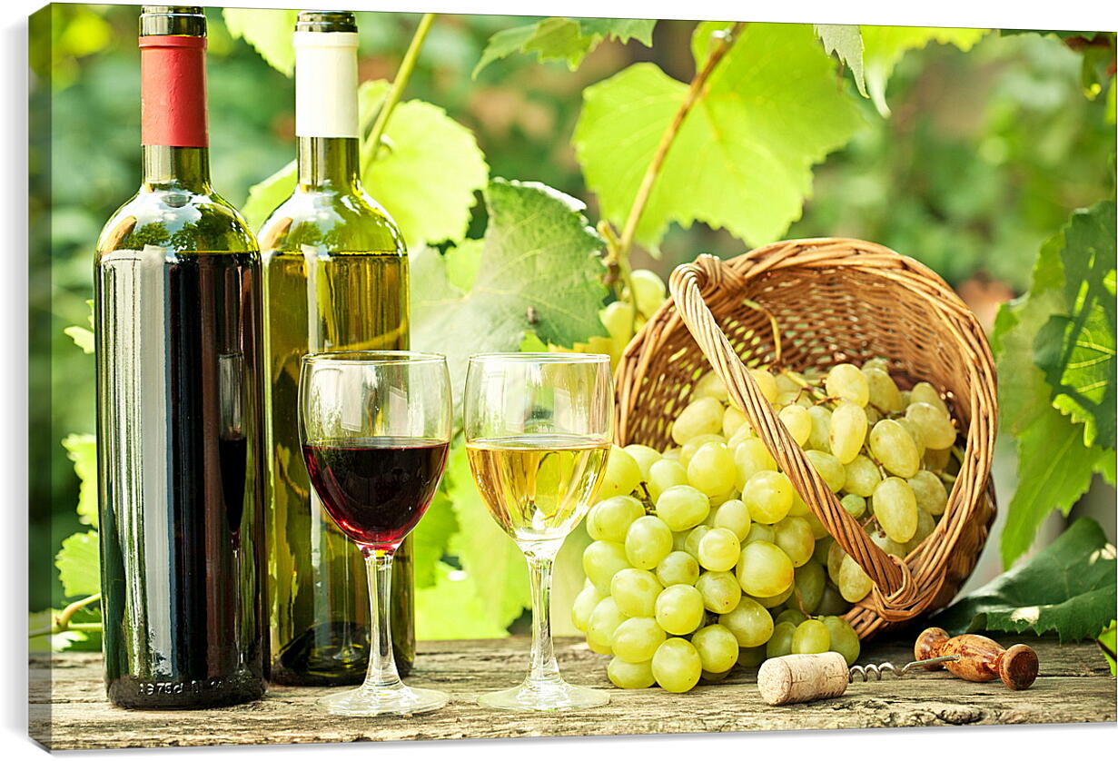 Постер и плакат - Виноград, штопор и вино