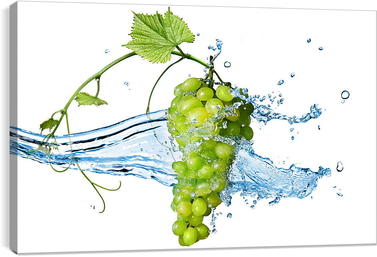 Постер и плакат - Зелёный виноград омываемый водой