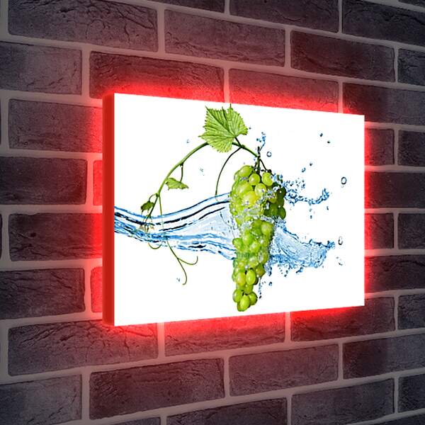 Лайтбокс световая панель - Зелёный виноград омываемый водой