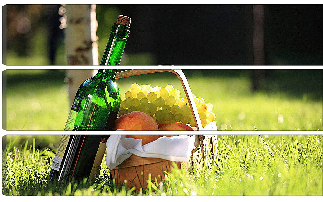 Модульная картина - Бутылка вина и фрукты на траве