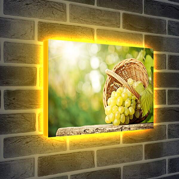 Лайтбокс световая панель - Опрокинутая корзинка и горздь винограда