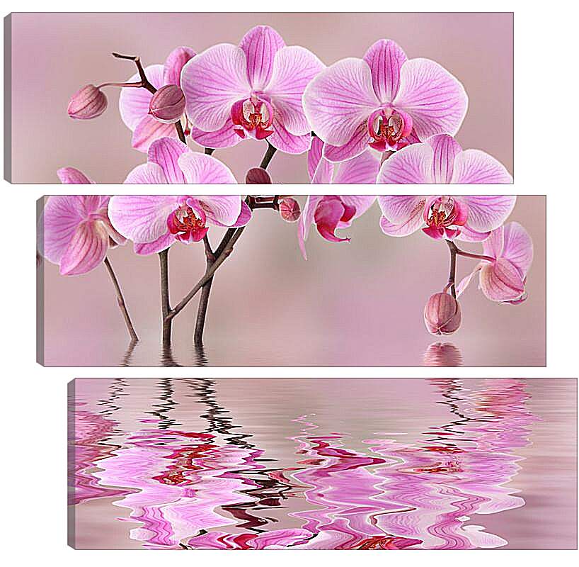 Модульная картина - Орхидеи над водой