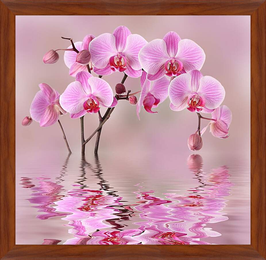 Картина в раме - Орхидеи над водой