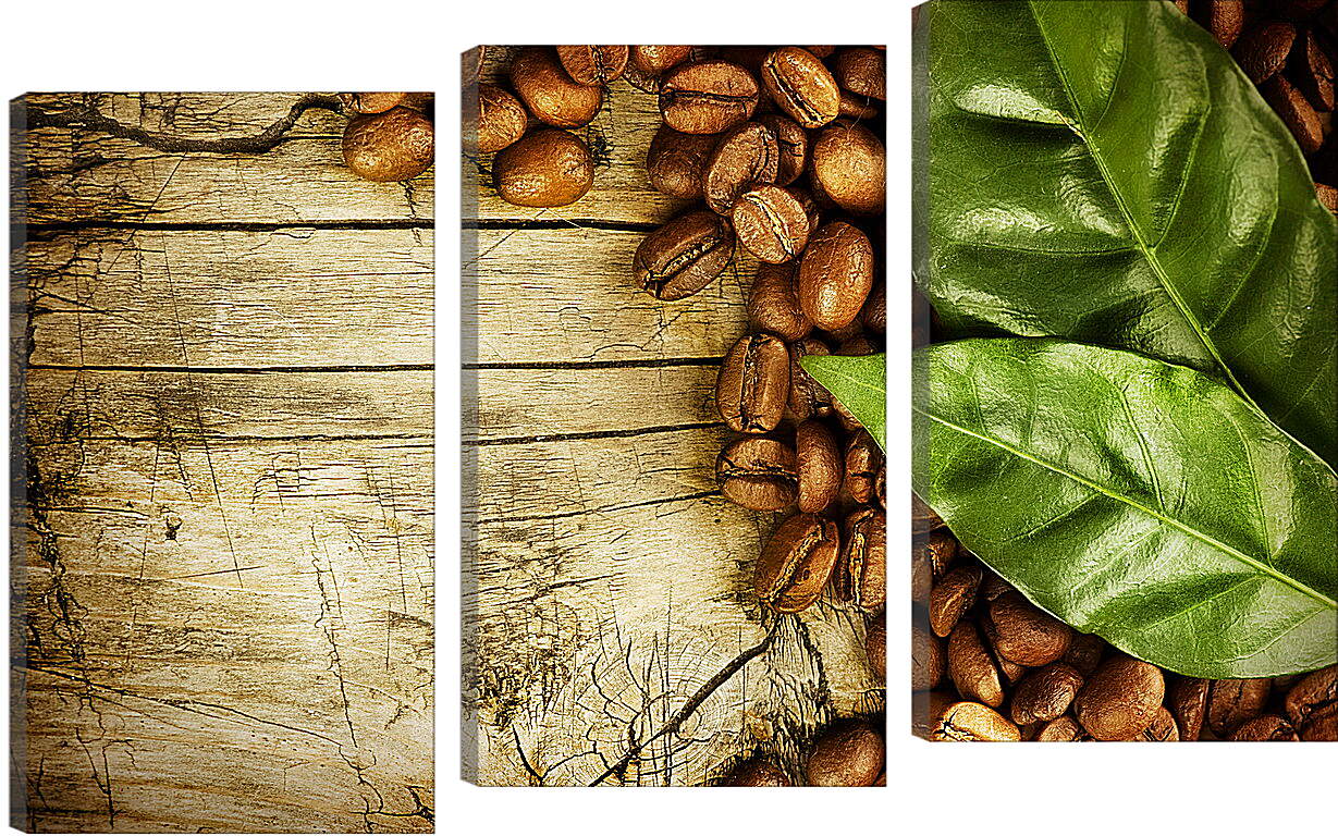 Модульная картина - Кофейные зёрна прикрытые листьями