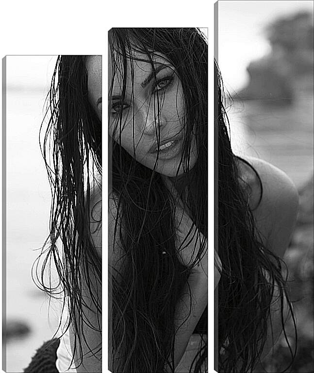 Модульная картина - Меган Фокс  (Megan Fox)
