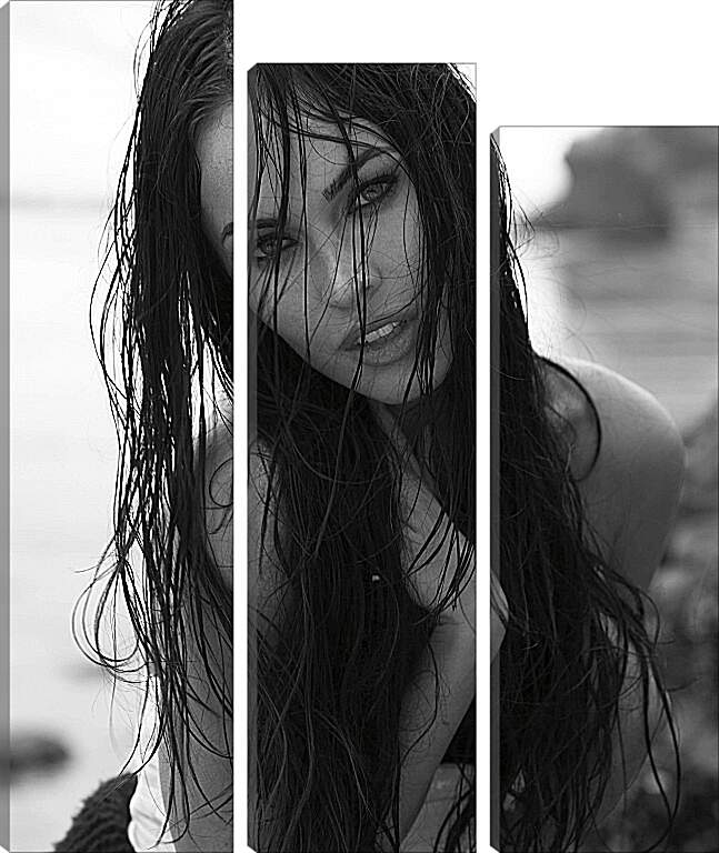 Модульная картина - Меган Фокс  (Megan Fox)