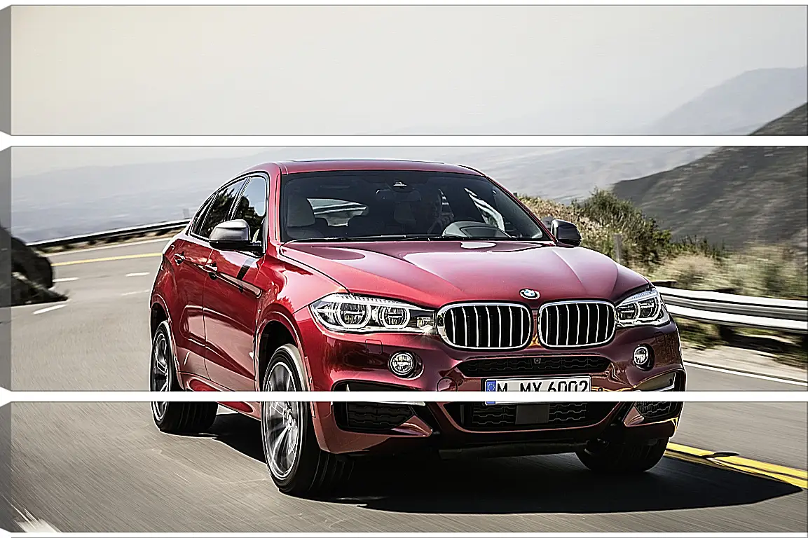 Модульная картина - Красный BMW X6  (БМВ)