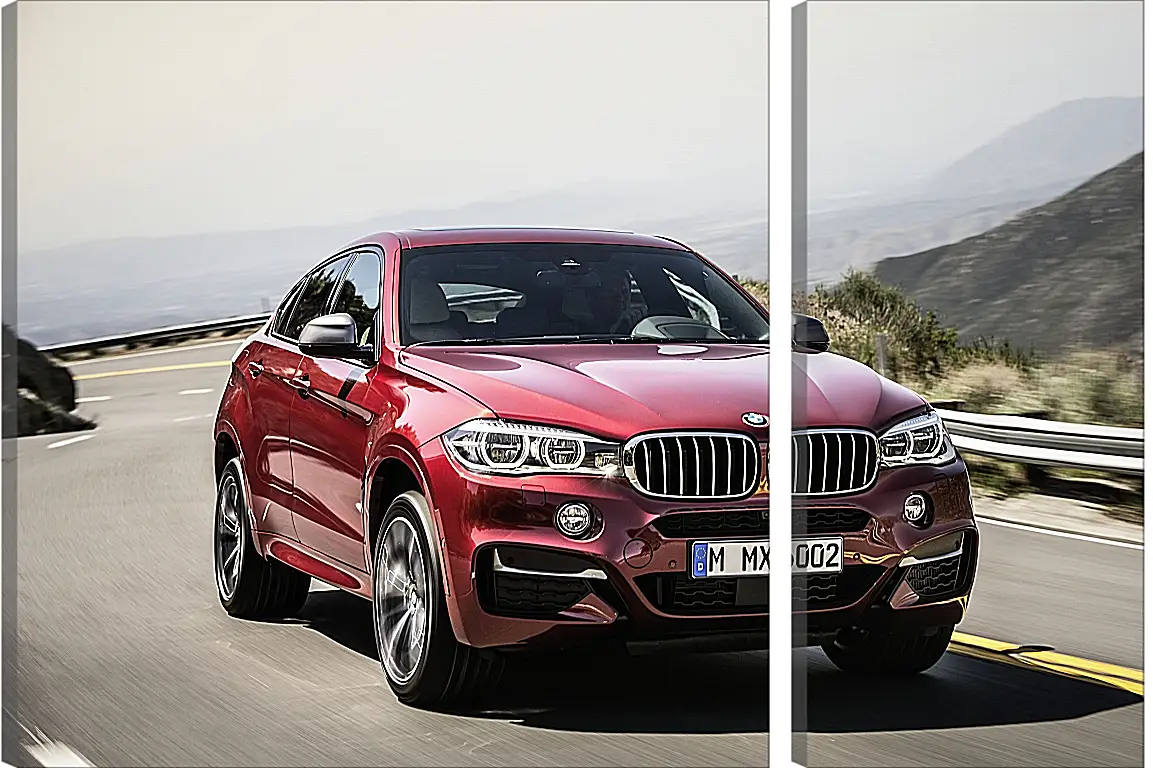 Модульная картина - Красный BMW X6  (БМВ)