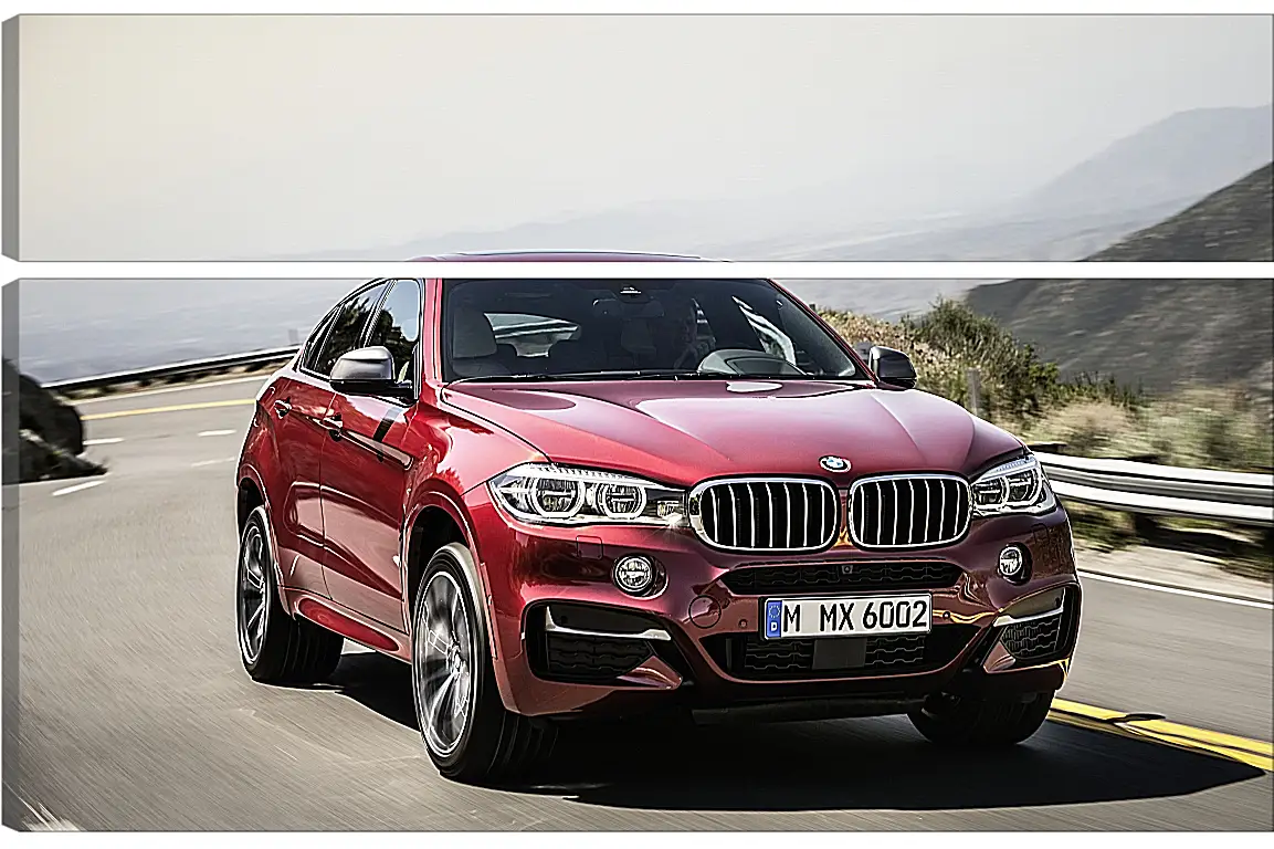 Модульная картина - Красный BMW X6  (БМВ)