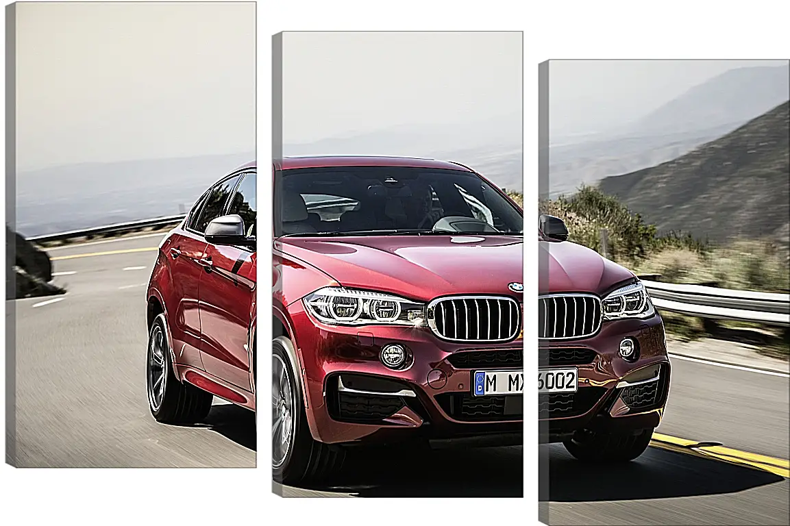 Модульная картина - Красный BMW X6  (БМВ)