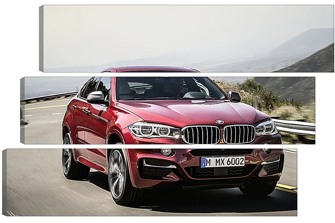 Модульная картина - Красный BMW X6  (БМВ)