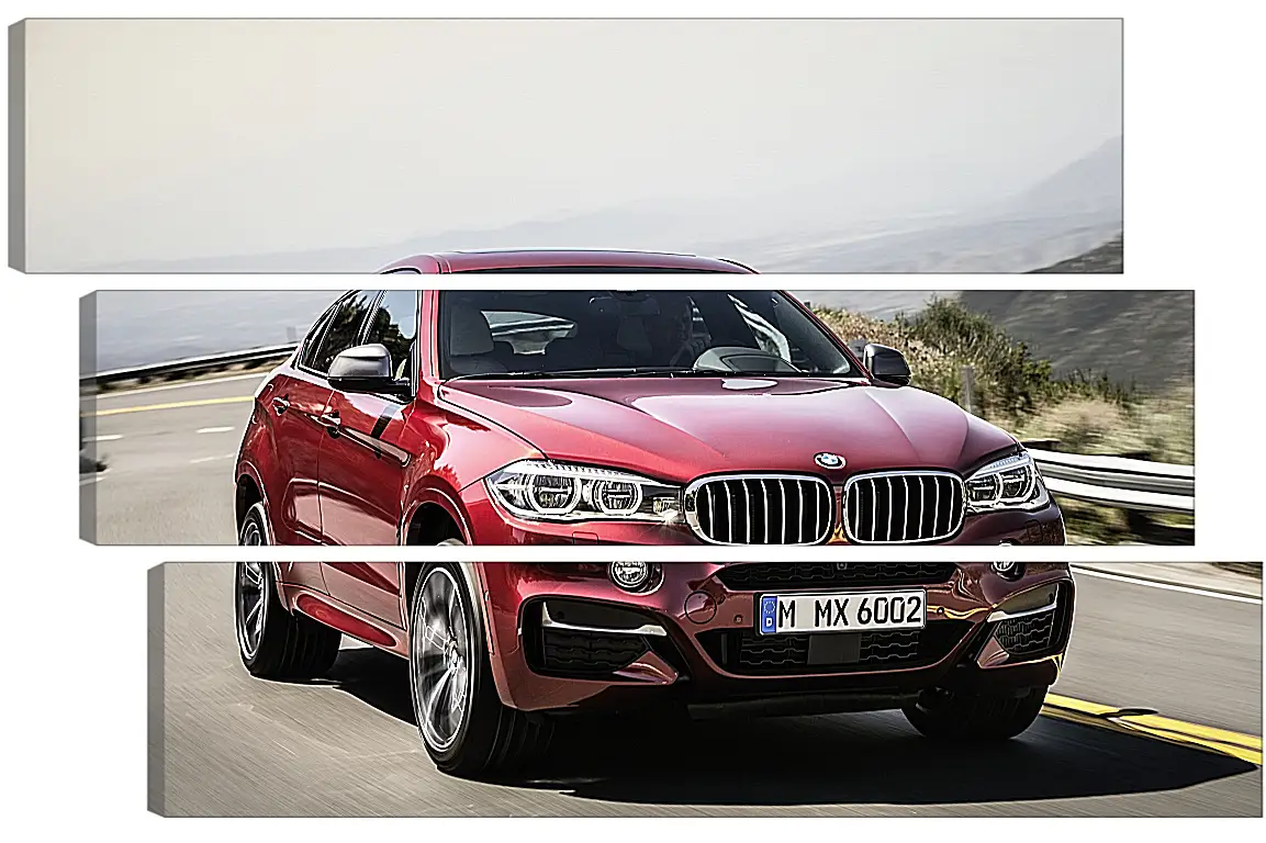 Модульная картина - Красный BMW X6  (БМВ)