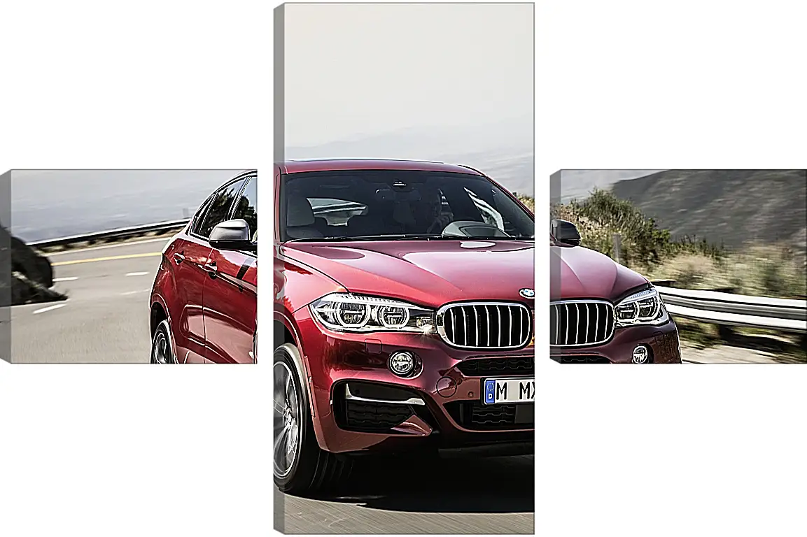 Модульная картина - Красный BMW X6  (БМВ)