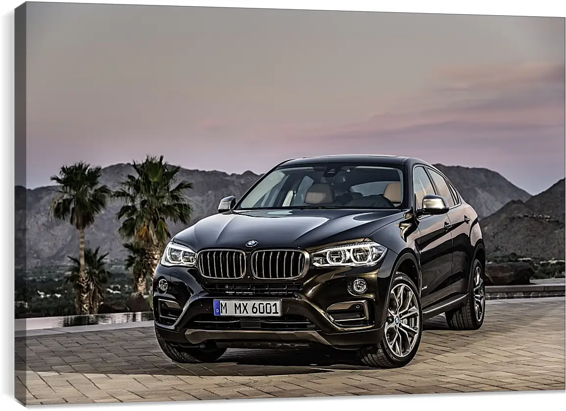 Постер и плакат - Черный BMW X6 (БМВ)