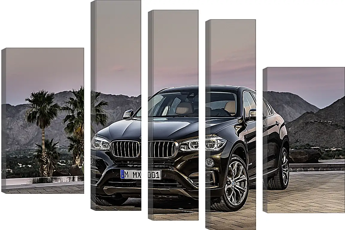 Модульная картина - Черный BMW X6 (БМВ)