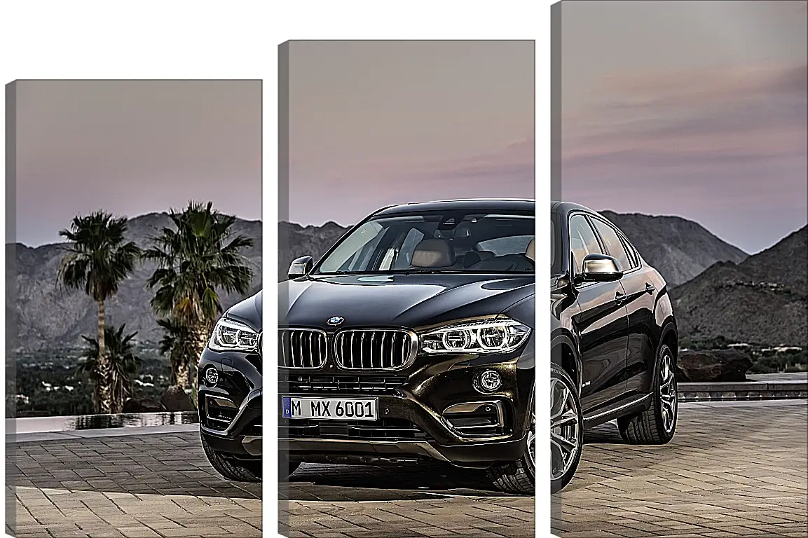 Модульная картина - Черный BMW X6 (БМВ)