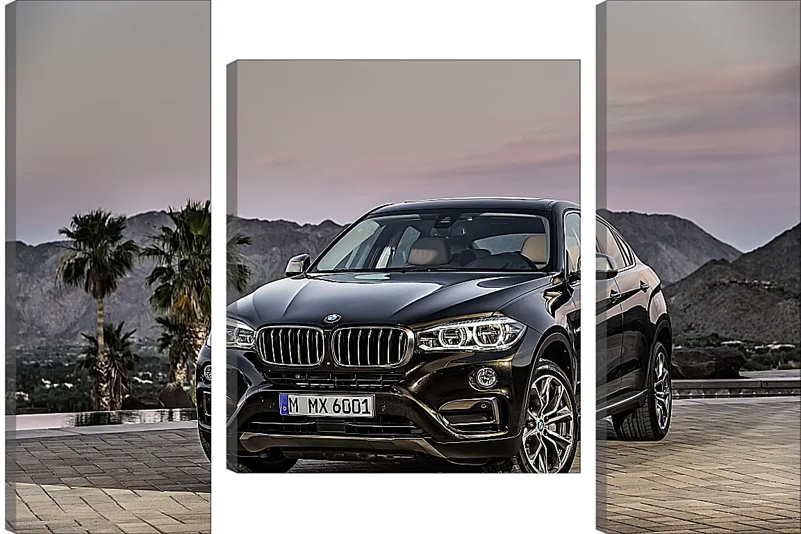 Модульная картина - Черный BMW X6 (БМВ)