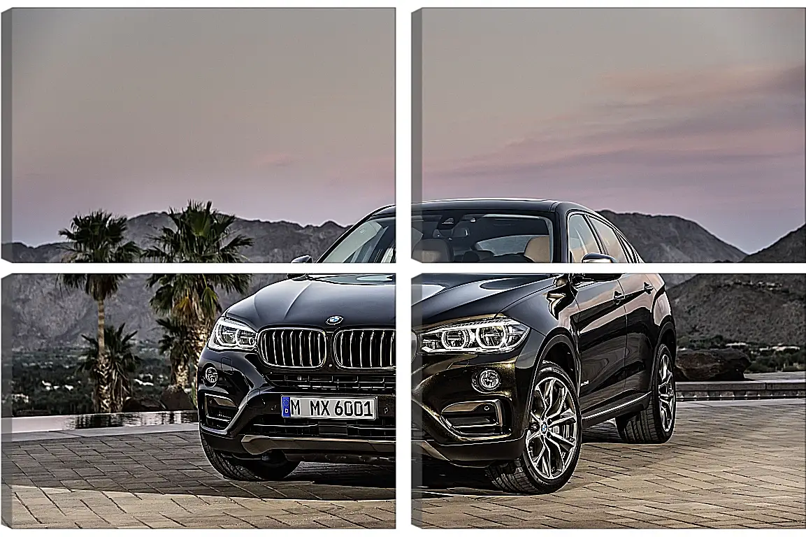 Модульная картина - Черный BMW X6 (БМВ)