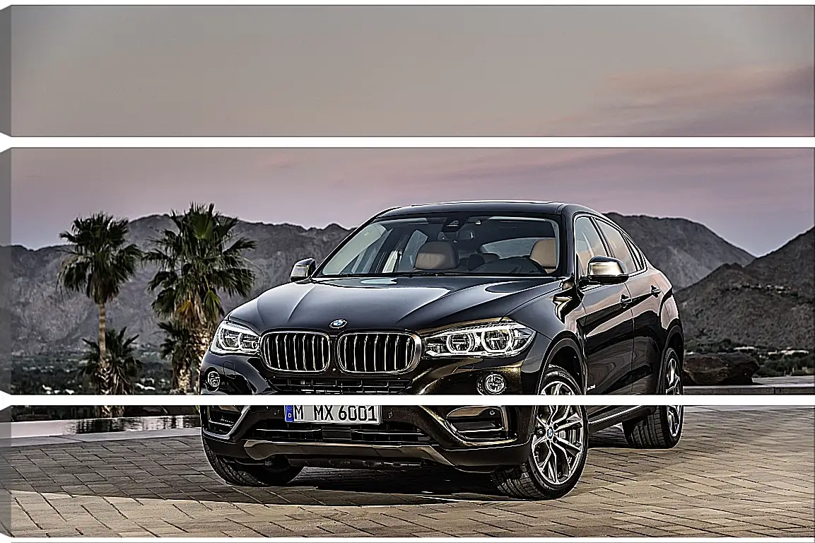 Модульная картина - Черный BMW X6 (БМВ)