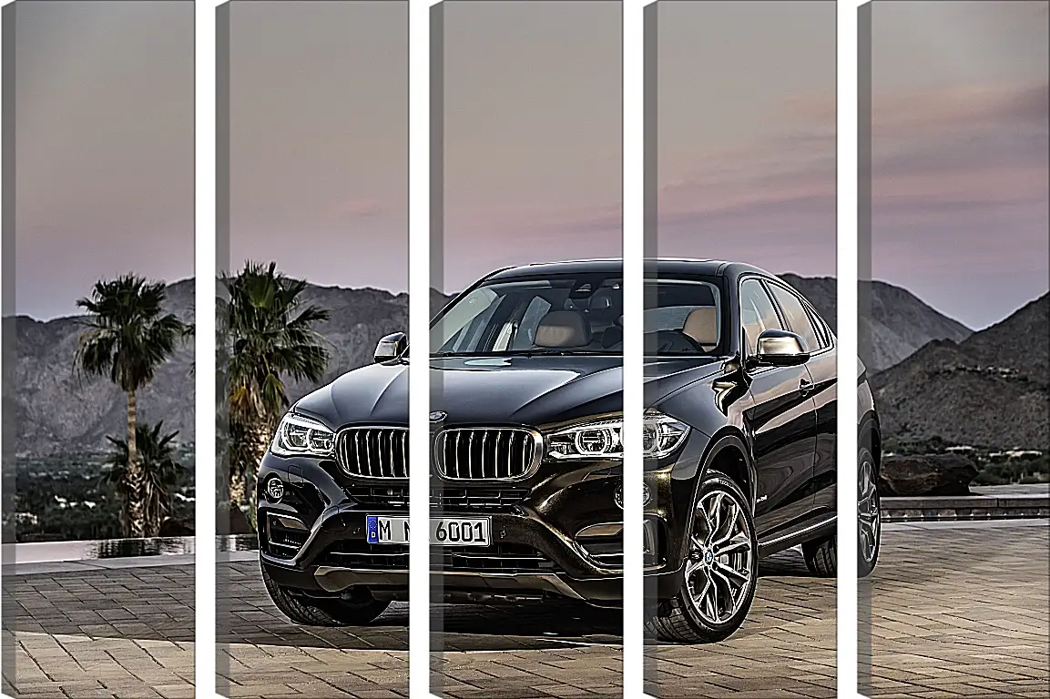 Модульная картина - Черный BMW X6 (БМВ)