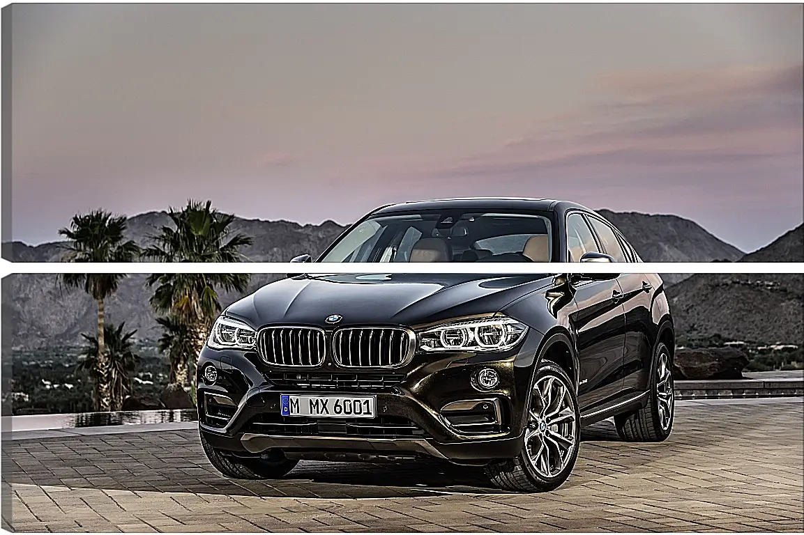 Модульная картина - Черный BMW X6 (БМВ)