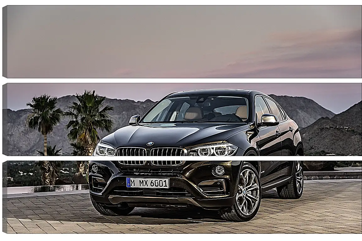 Модульная картина - Черный BMW X6 (БМВ)