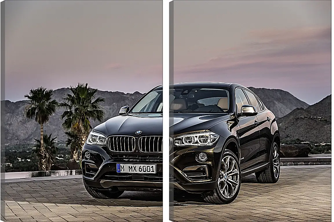 Модульная картина - Черный BMW X6 (БМВ)