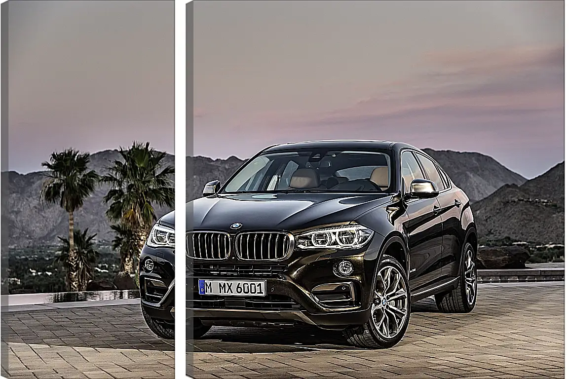 Модульная картина - Черный BMW X6 (БМВ)