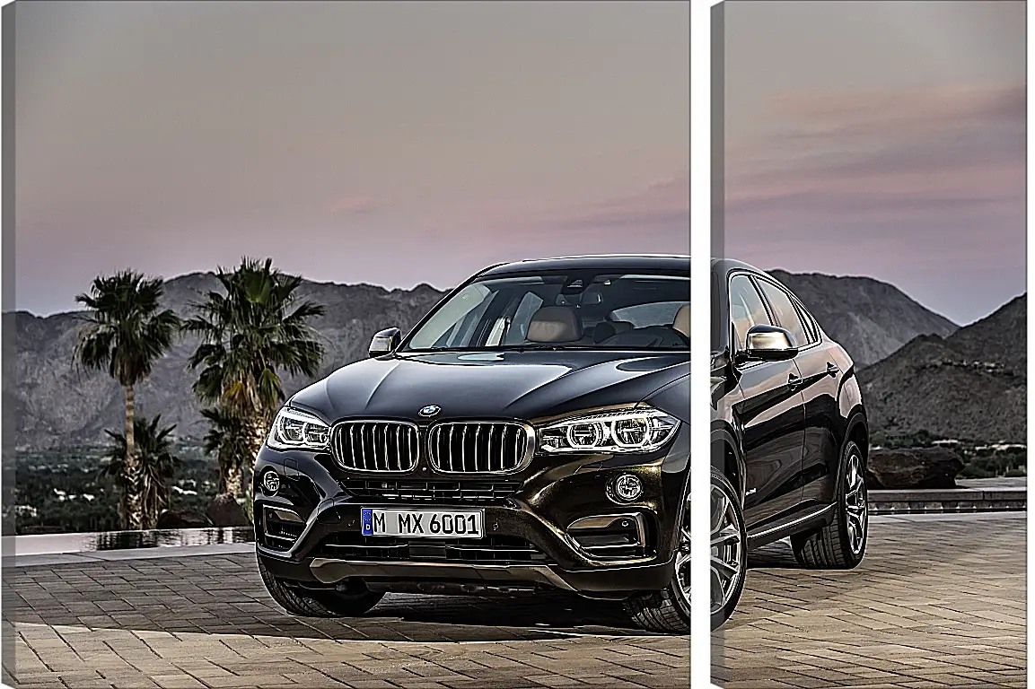 Модульная картина - Черный BMW X6 (БМВ)