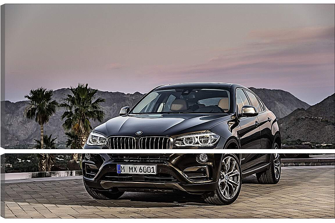 Модульная картина - Черный BMW X6 (БМВ)