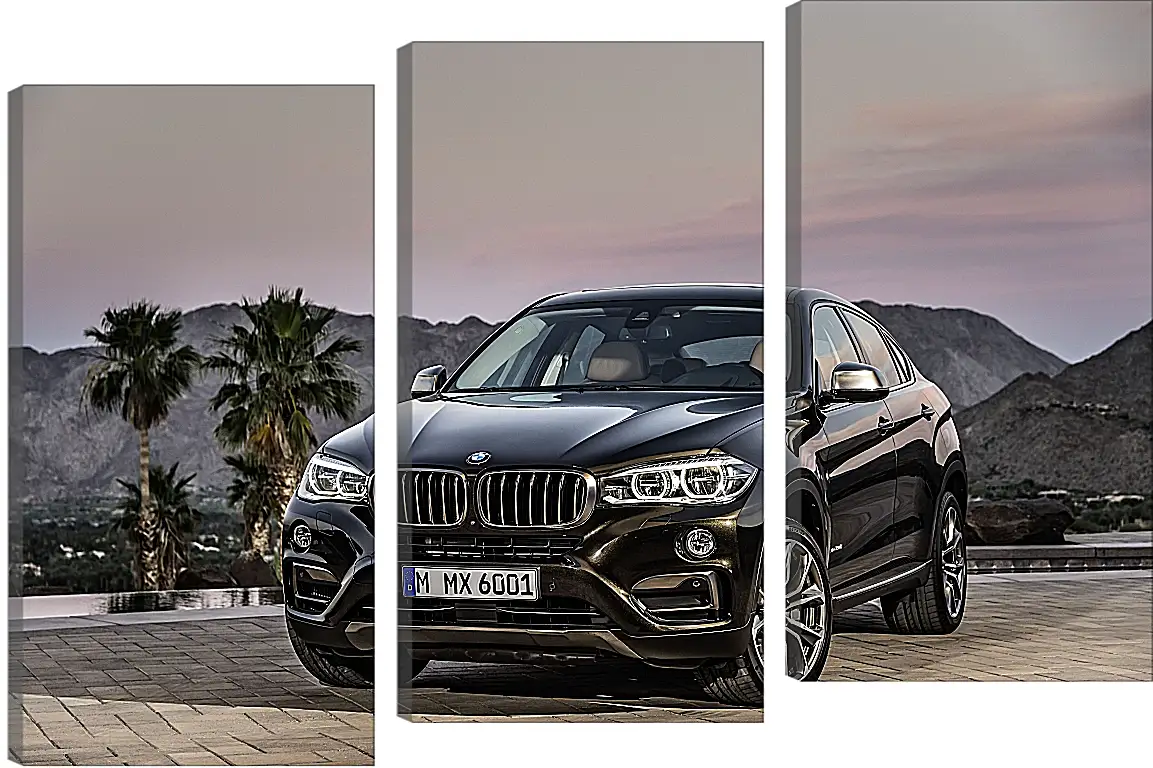 Модульная картина - Черный BMW X6 (БМВ)