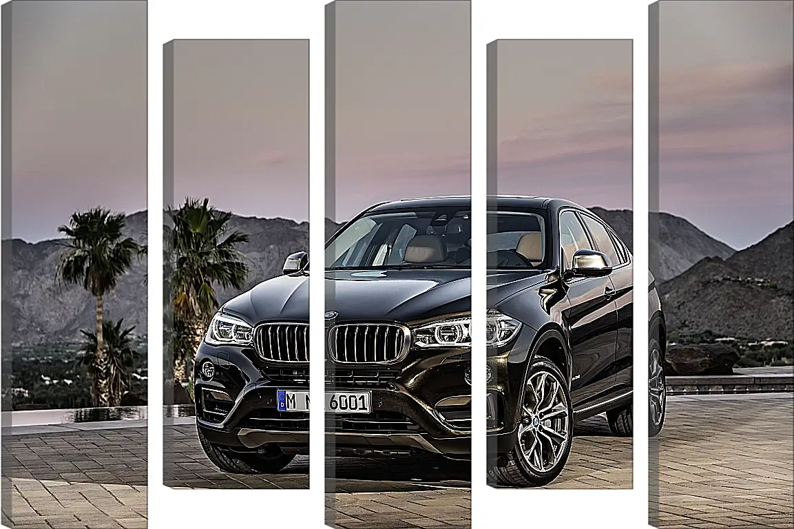 Модульная картина - Черный BMW X6 (БМВ)