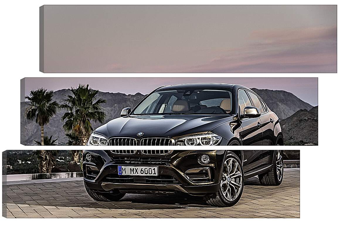 Модульная картина - Черный BMW X6 (БМВ)