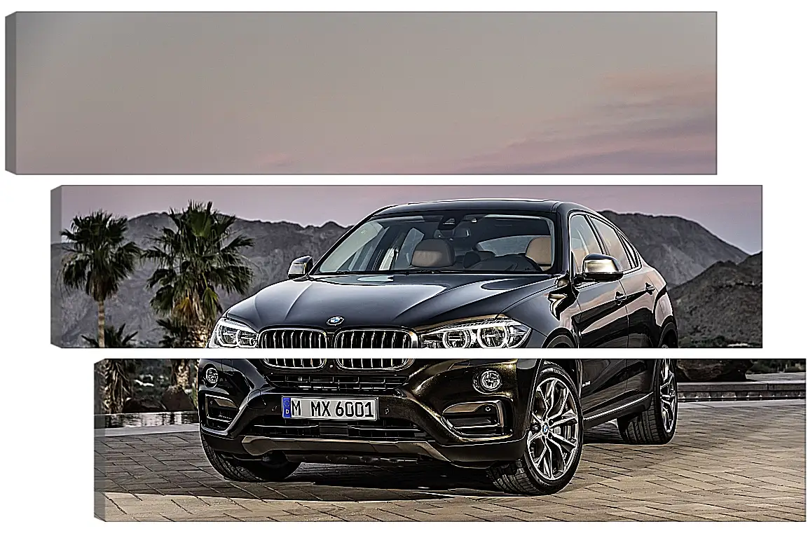 Модульная картина - Черный BMW X6 (БМВ)