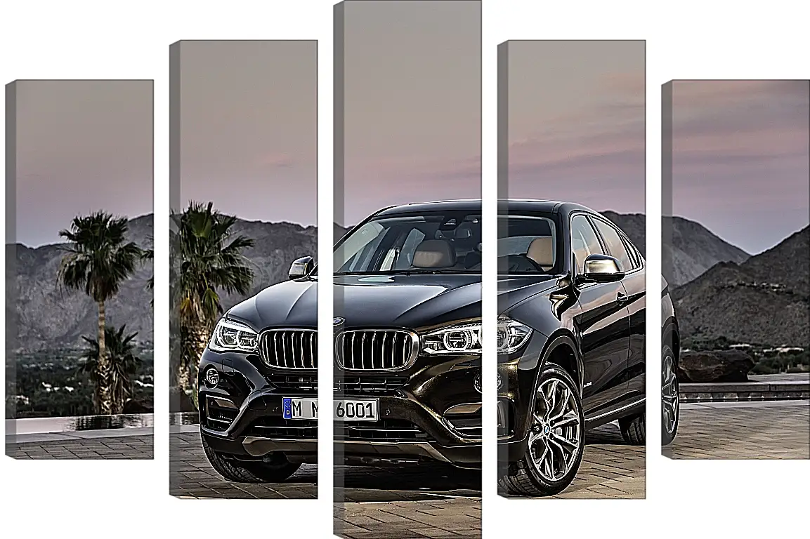 Модульная картина - Черный BMW X6 (БМВ)