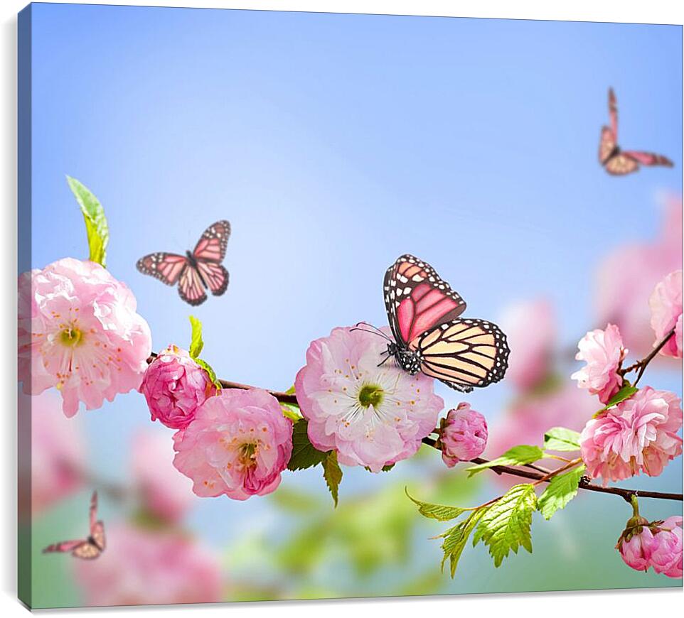 Постер и плакат - Бабочки и розовые цветы