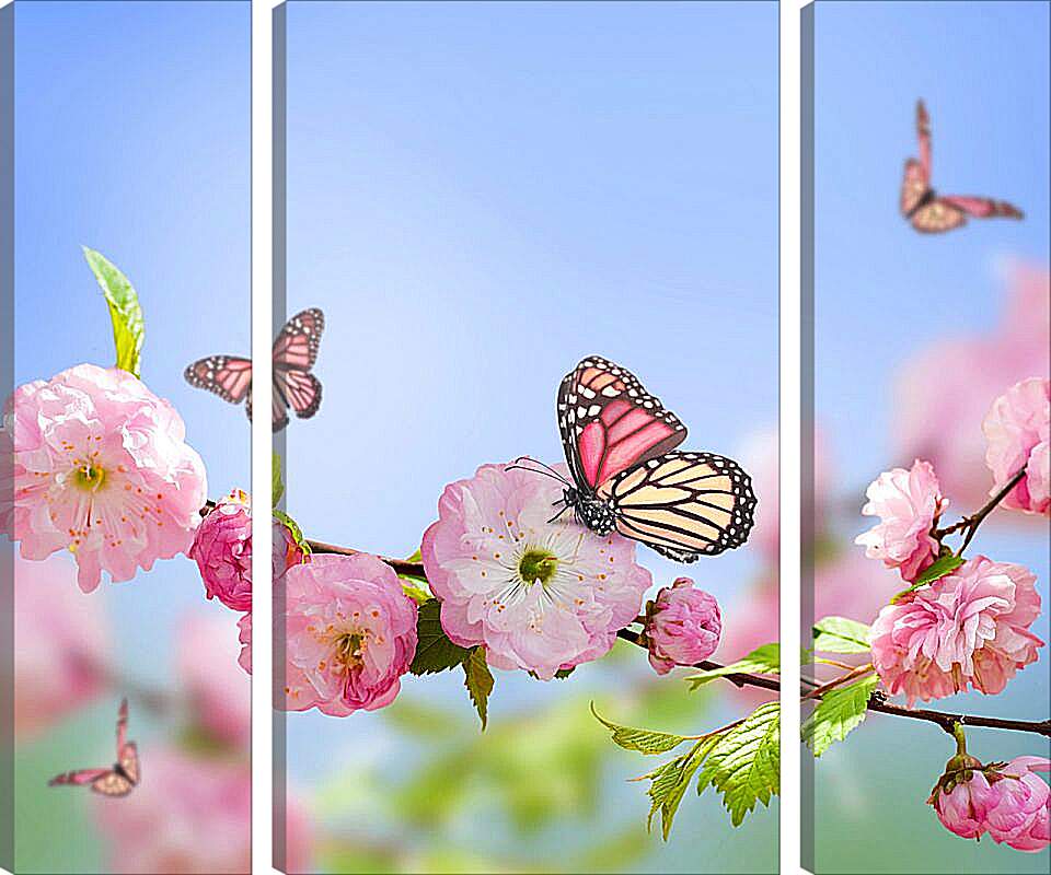 Модульная картина - Бабочки и розовые цветы