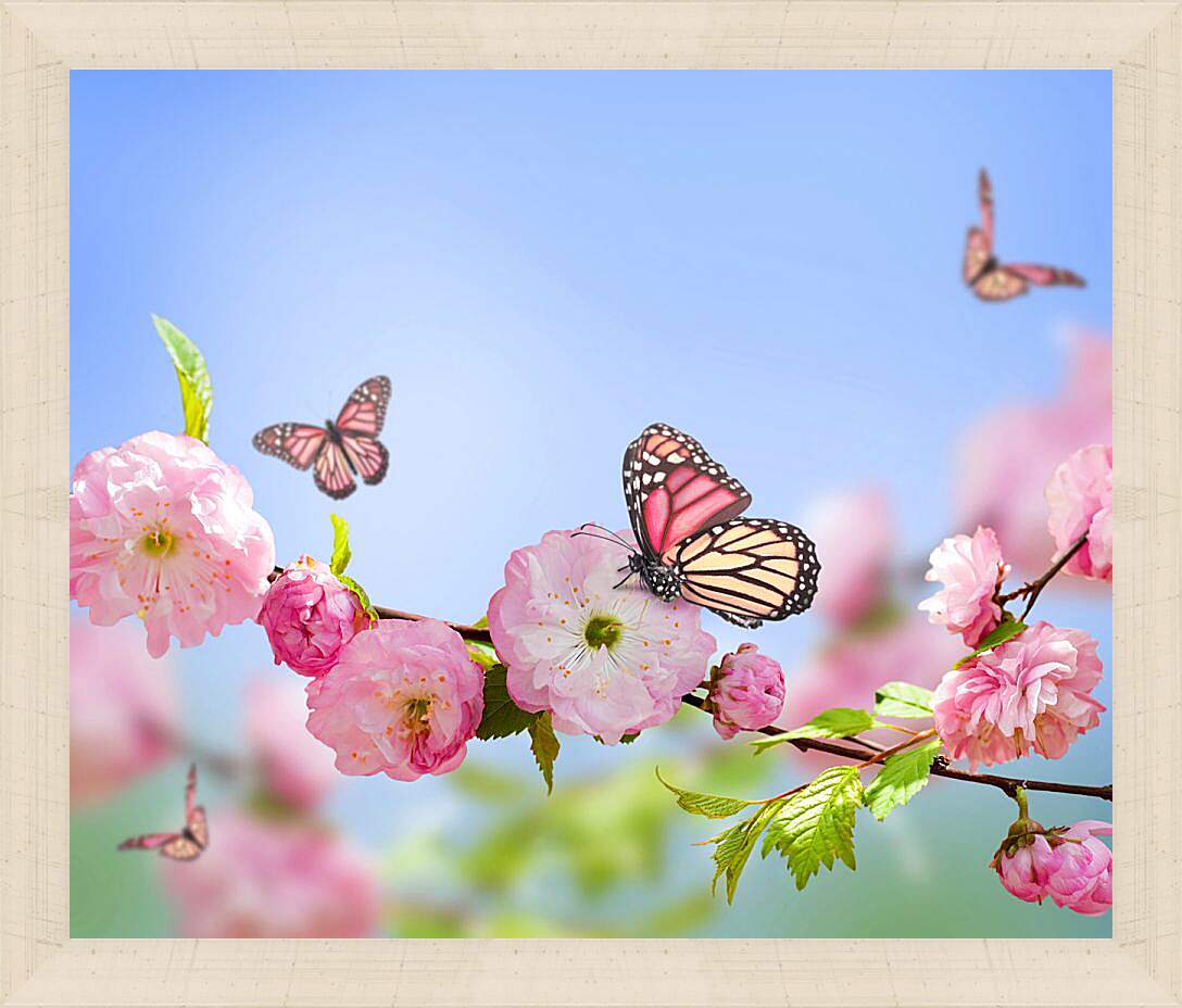 Картина в раме - Бабочки и розовые цветы
