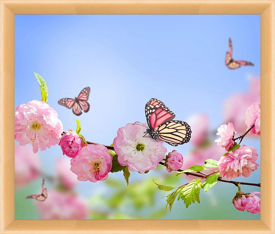 Картина в раме - Бабочки и розовые цветы