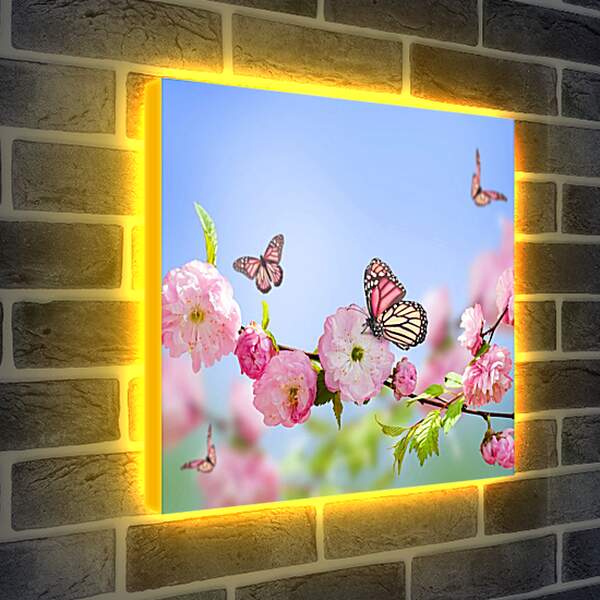 Лайтбокс световая панель - Бабочки и розовые цветы