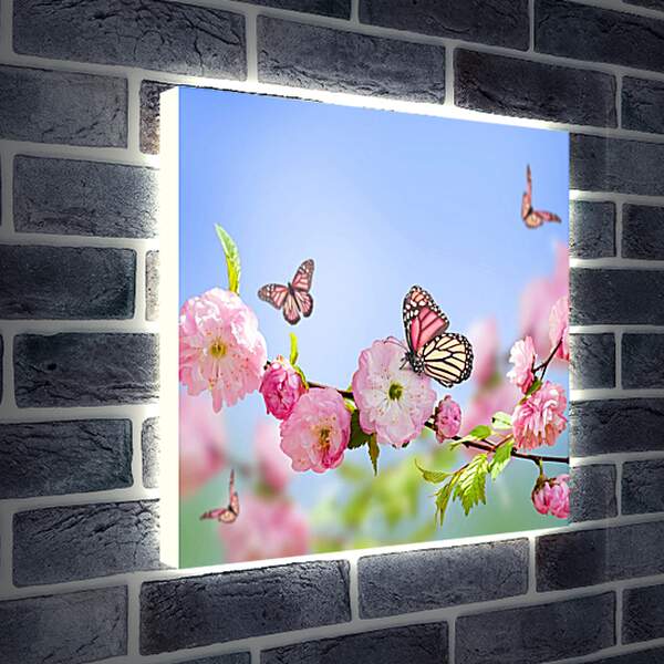 Лайтбокс световая панель - Бабочки и розовые цветы
