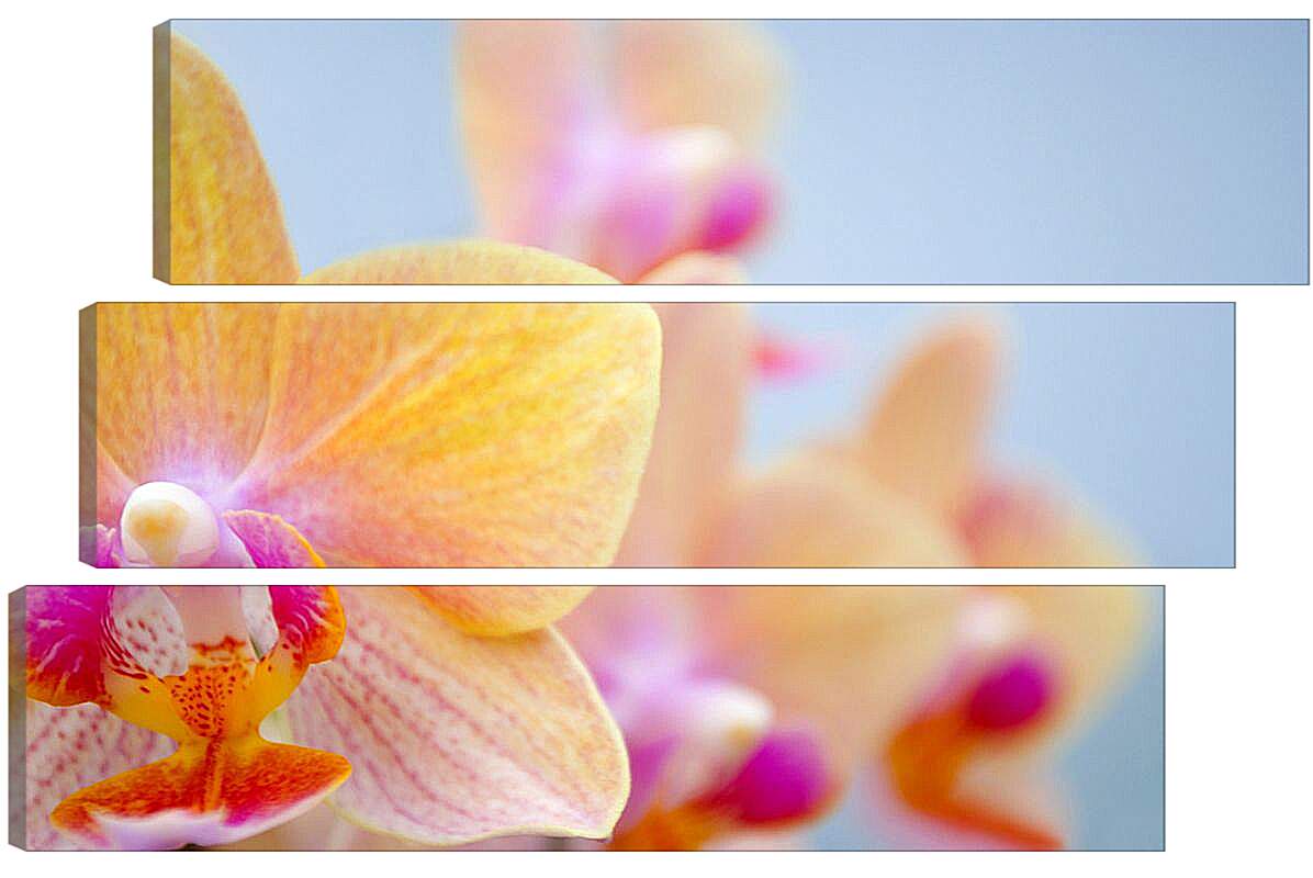 Модульная картина - Желтая орхидея