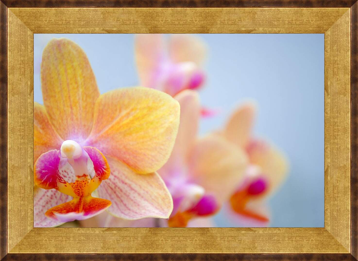 Картина в раме - Желтая орхидея
