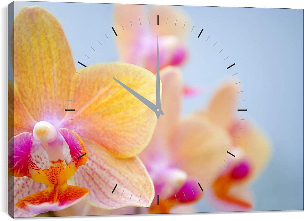 Часы картина - Желтая орхидея
