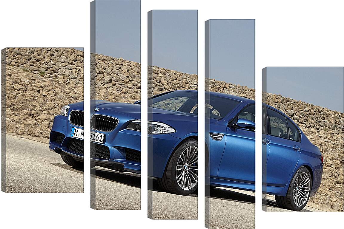 Модульная картина - BMW M5 F10