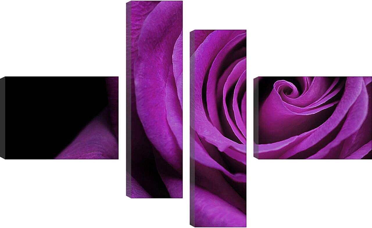 Модульная картина - Фиолетовая роза