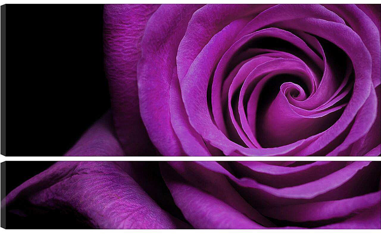 Модульная картина - Фиолетовая роза