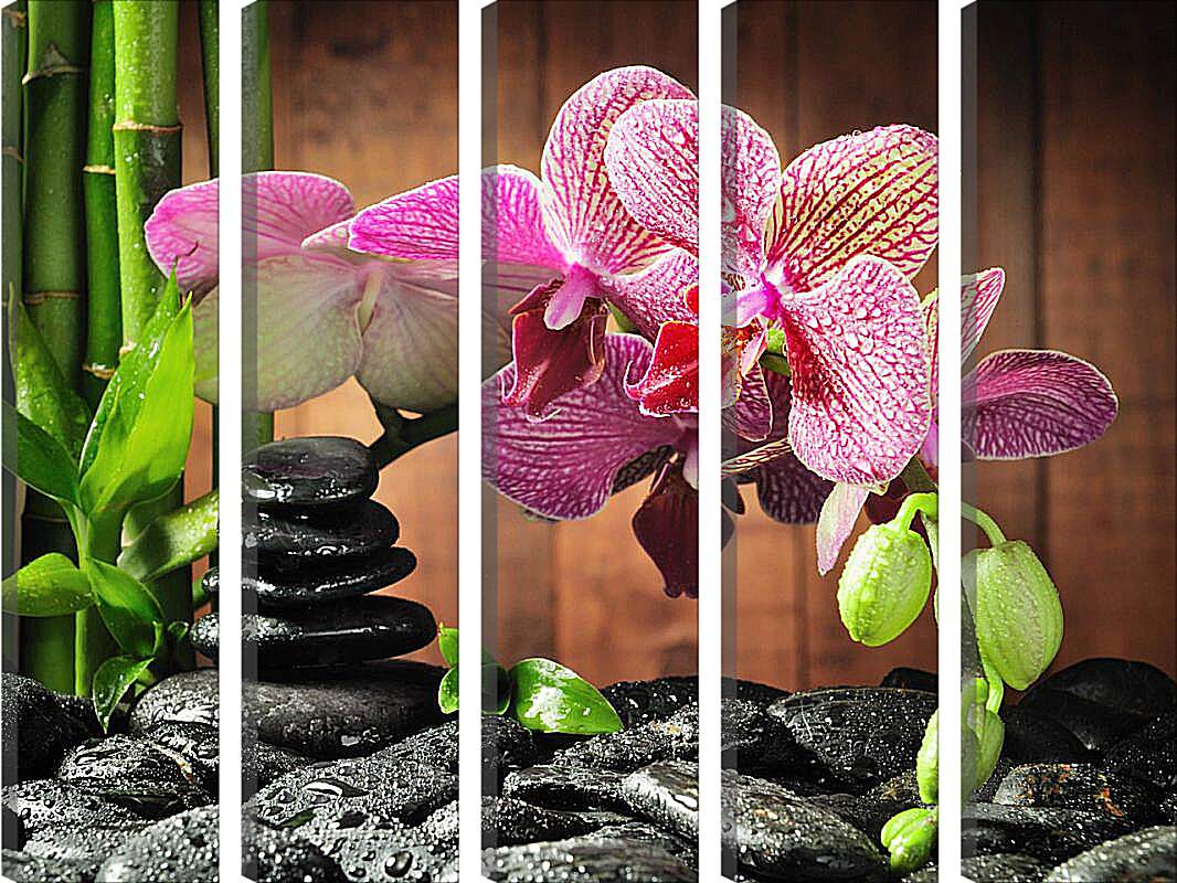 Модульная картина - СПА орхидеи