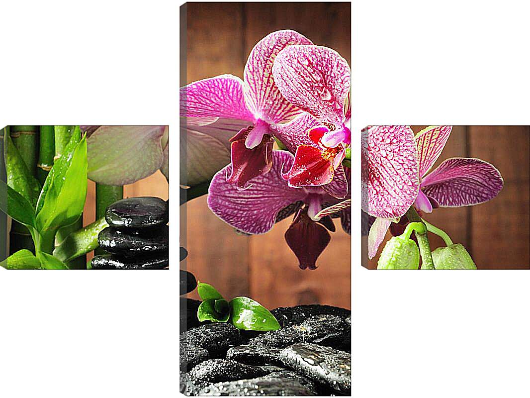 Модульная картина - СПА орхидеи