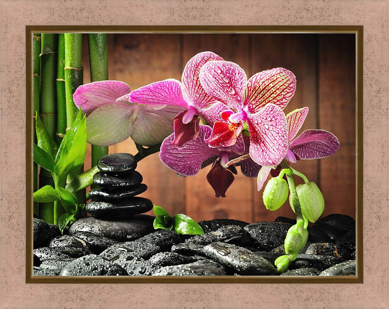 Картина в раме - СПА орхидеи